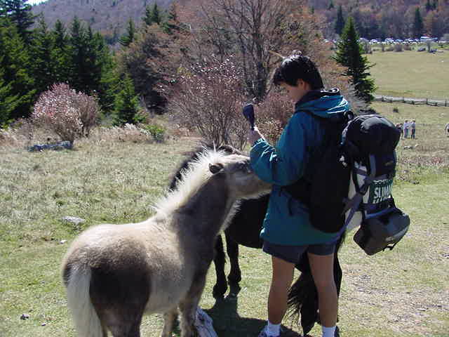 Jennifer Kang petting Wild Pony on 10-14-2000