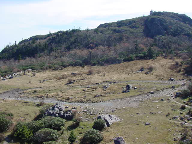 View of Rhododendron Gap from the Crest Trail